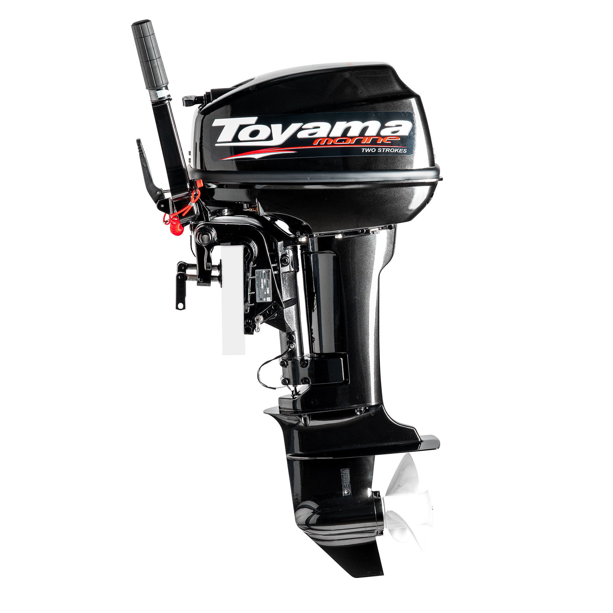 T9.9BMS