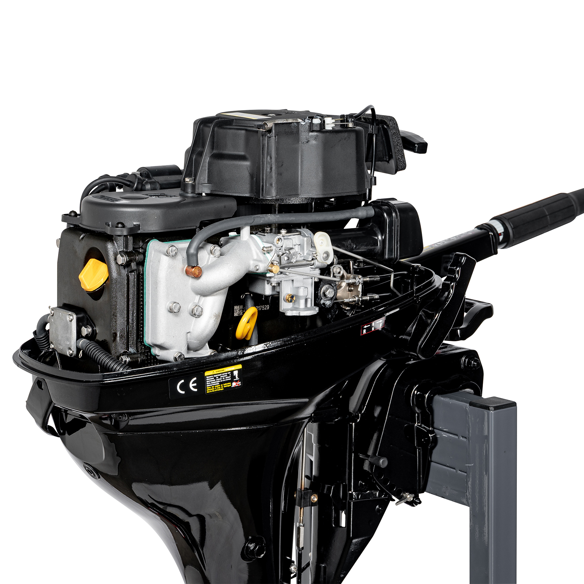 F9.8BMS