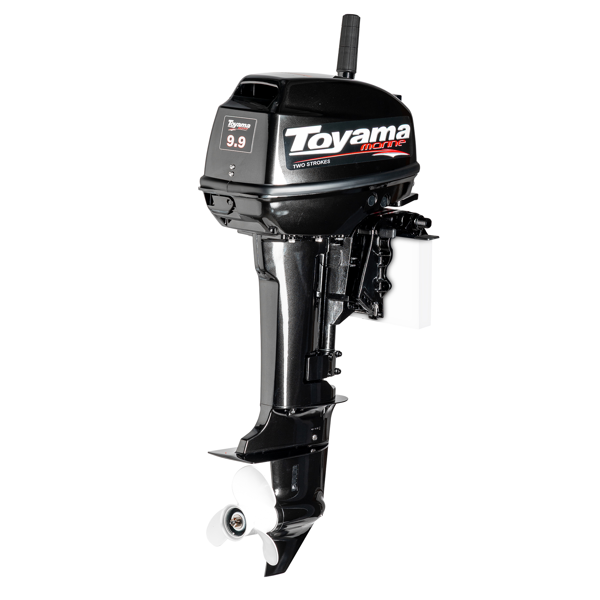 T9.9BMS